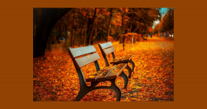 Park benches | Priority Honda Roanoke in Roanoke, VA