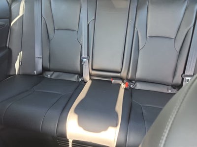 2024 Honda Accord Sport-L