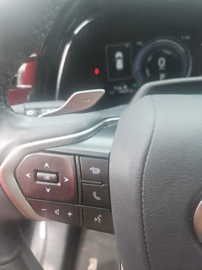2024 Lexus RX Premium