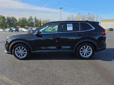 2025 Honda CR-V EX-L
